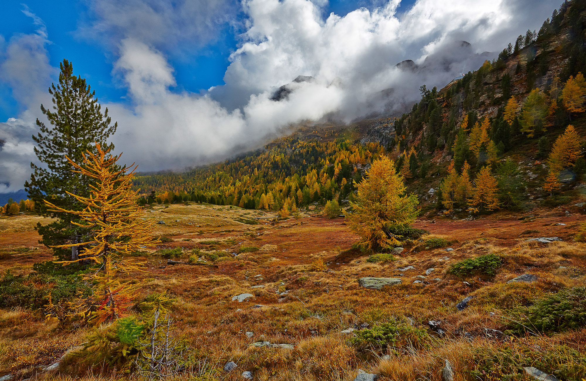 Herbst im Martelltal, Südtirol