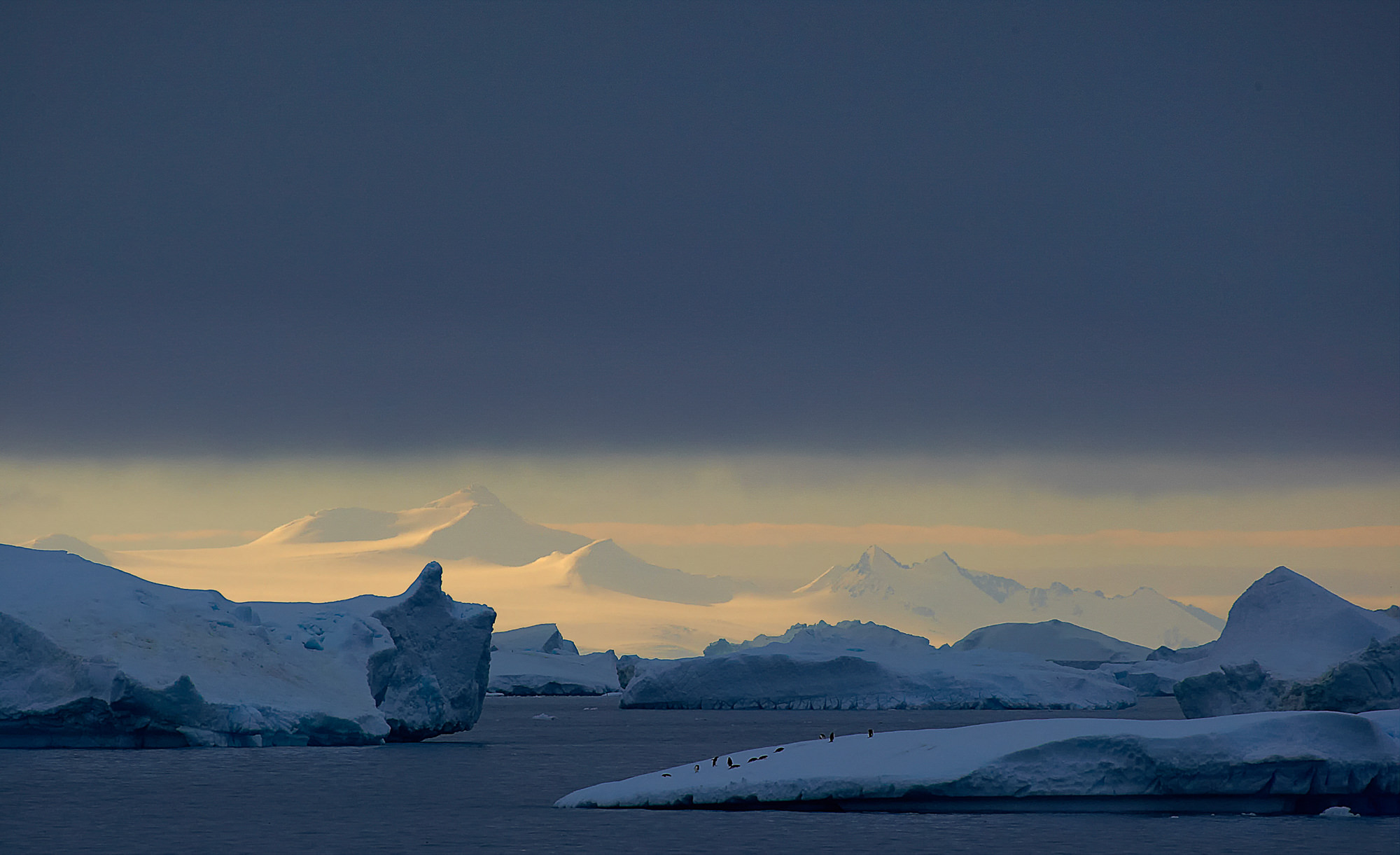 Eisberg im Antarctic Sound