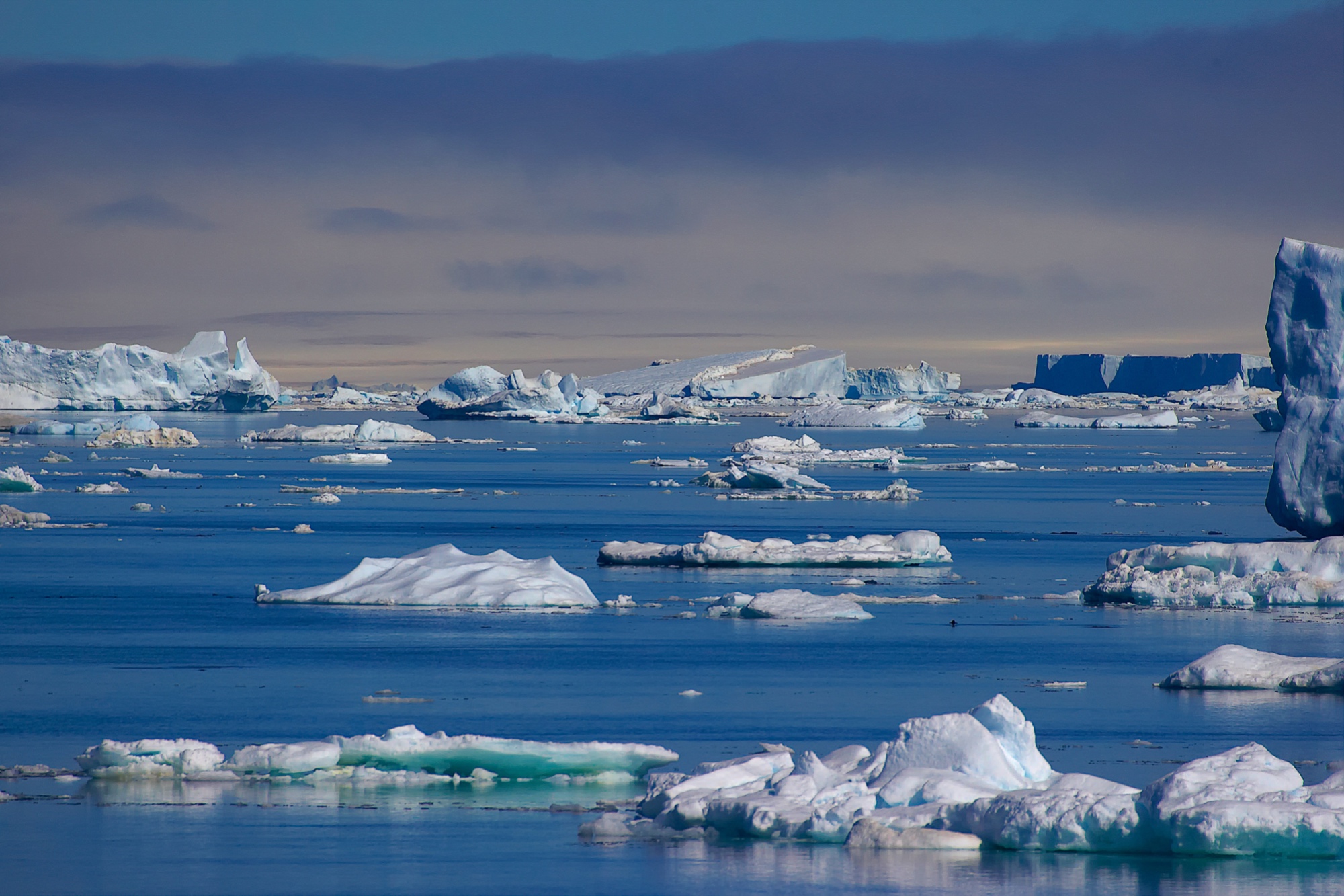 Eisberg im Antarctic Sound