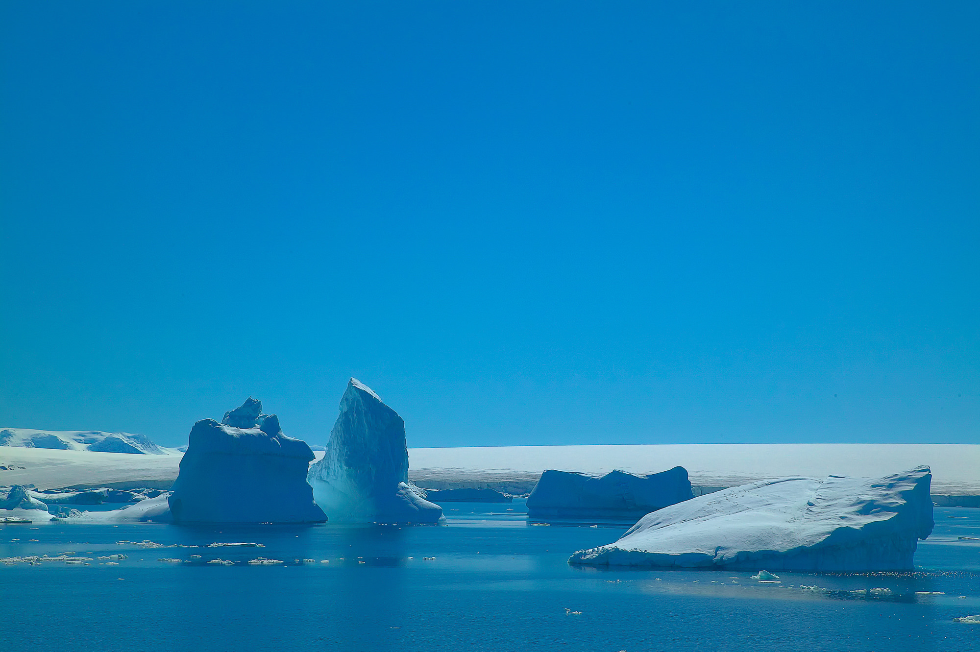 Eisberg im Antarctic Sound