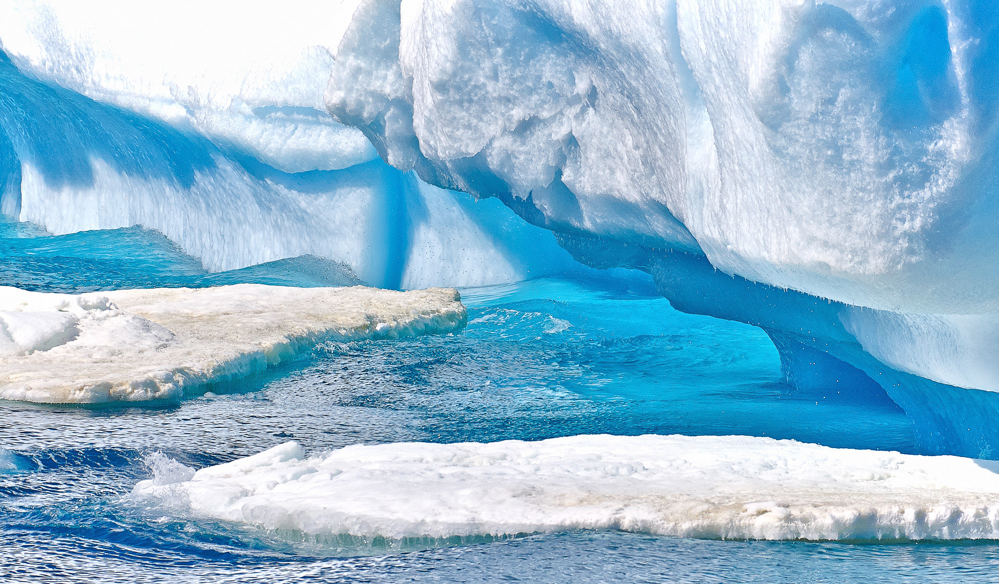 Eisberg im Antarctic Sound