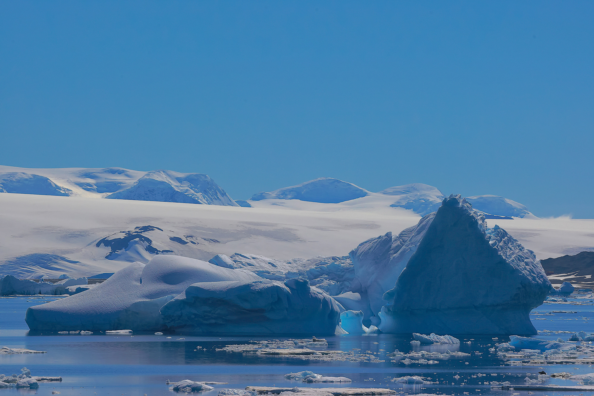 Eisberg im Antarctic Sound