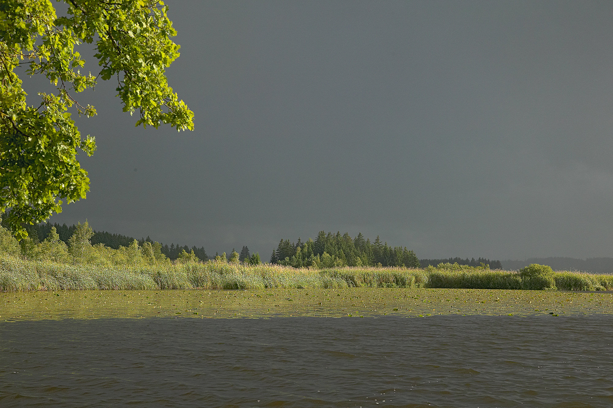 Gewitter am  Maisinger See, Starnberg