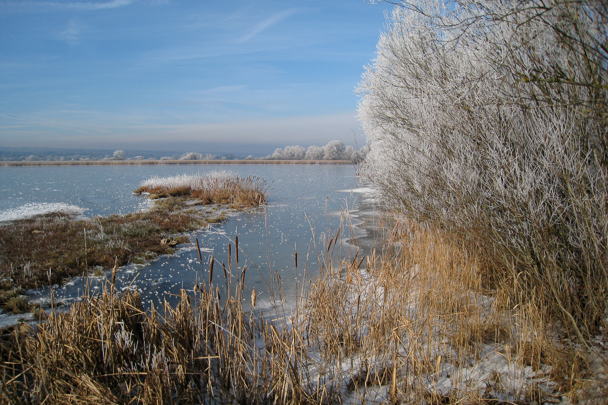 Raureif am Ammersee
