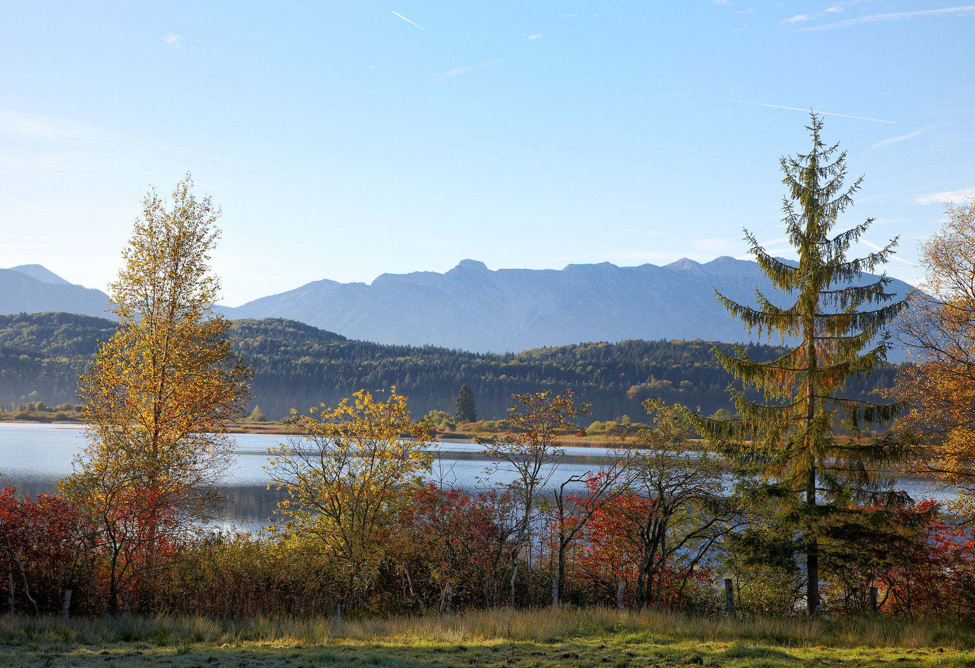 Staffelsee