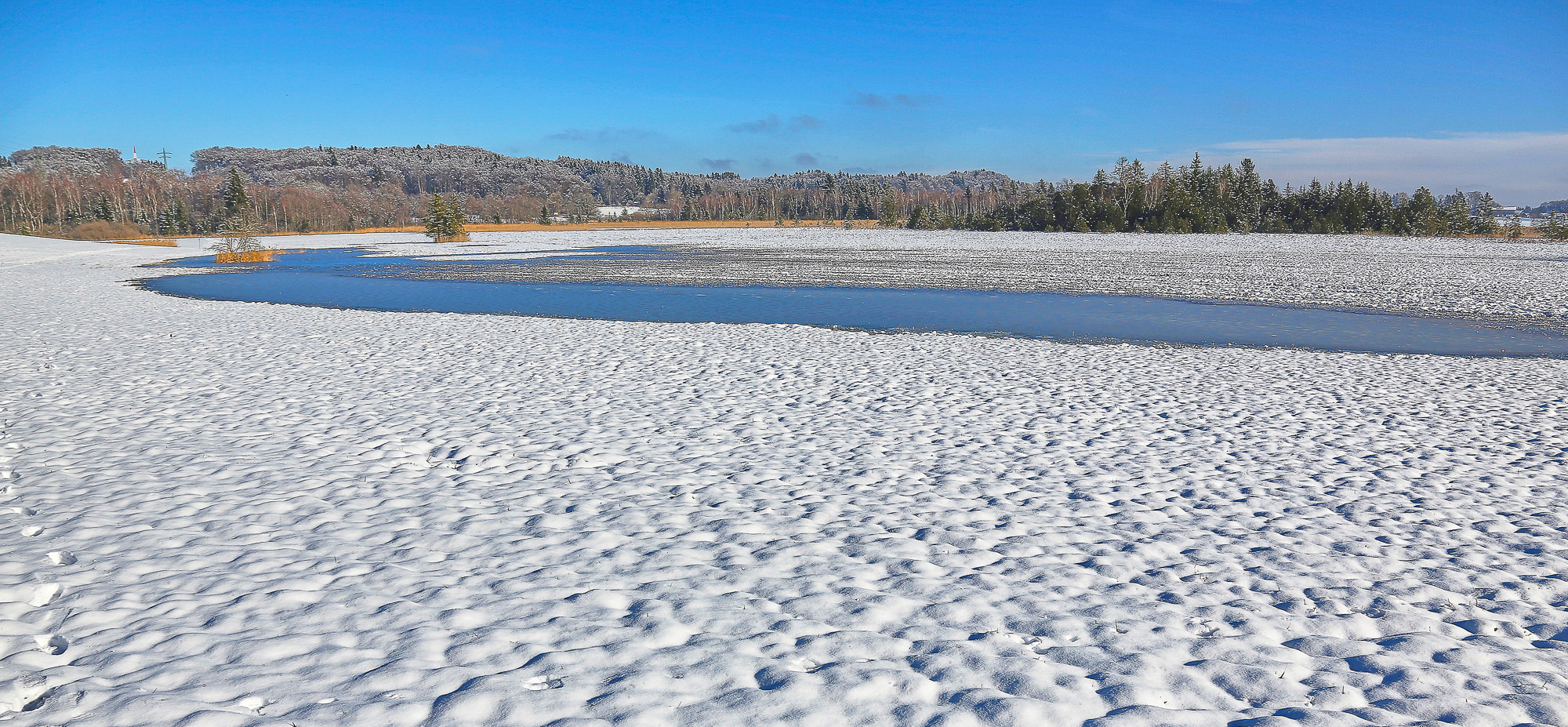 Januar am Maisinger See