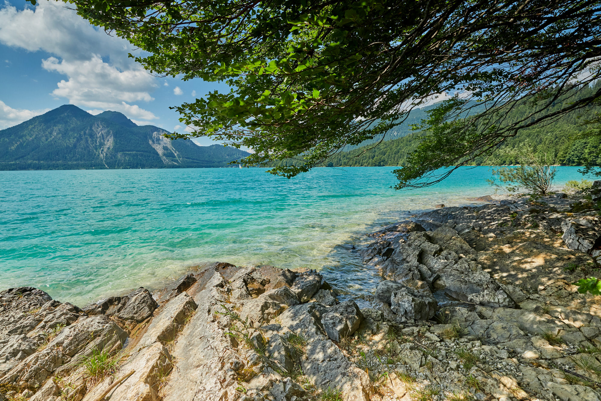 am Walchensee
