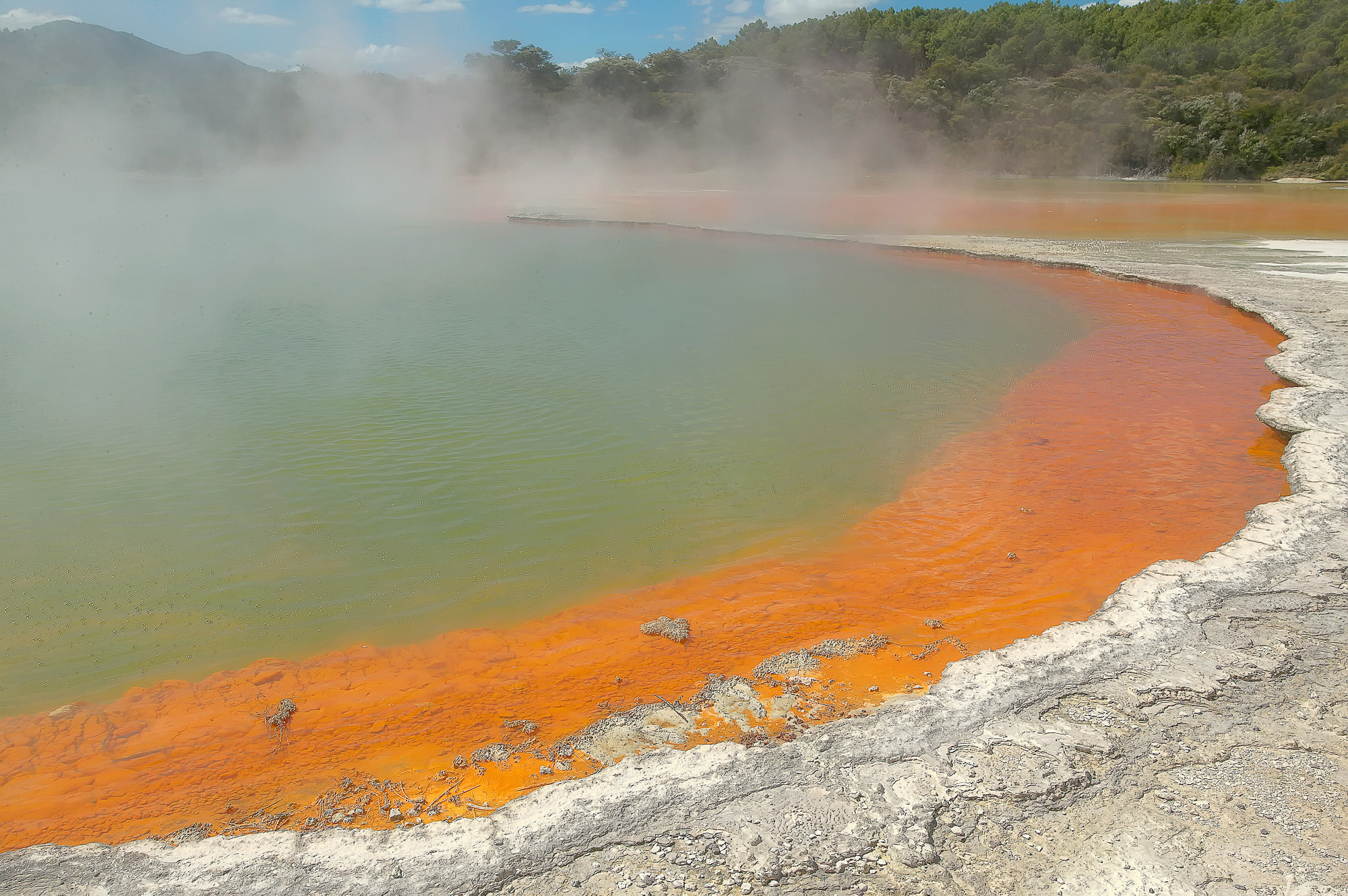 Rotorua, Champagne Pool