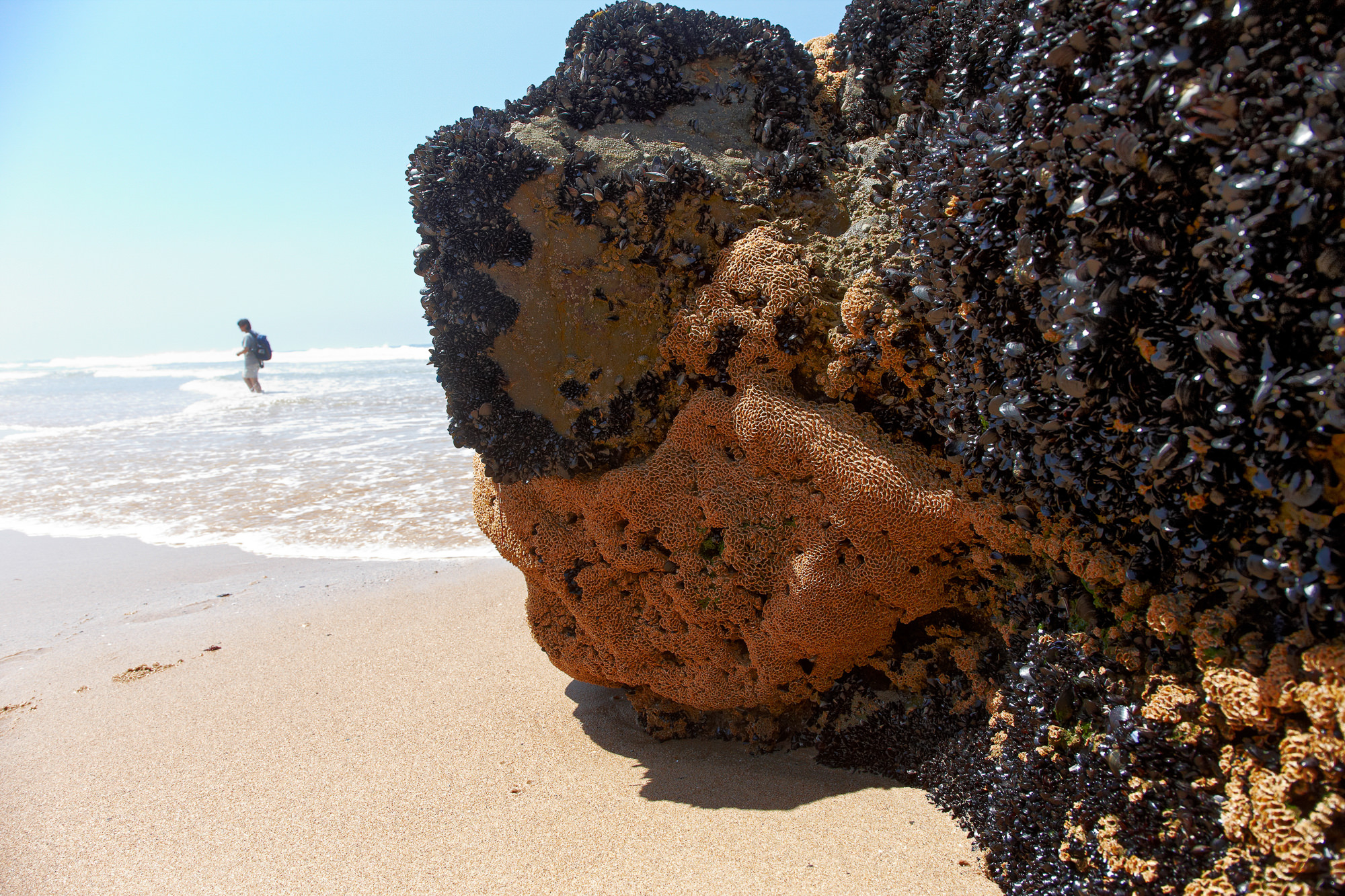 beach near Sintra