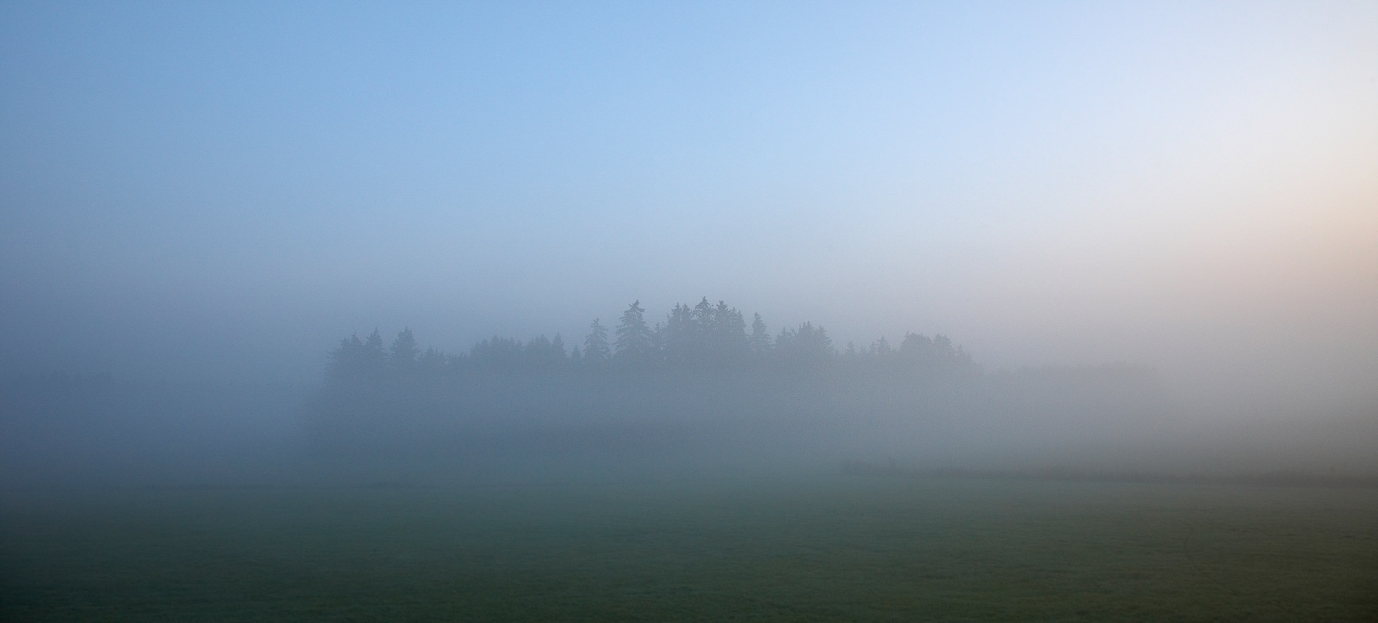 morning mood in the moor